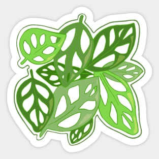 Lots of leaves Sticker